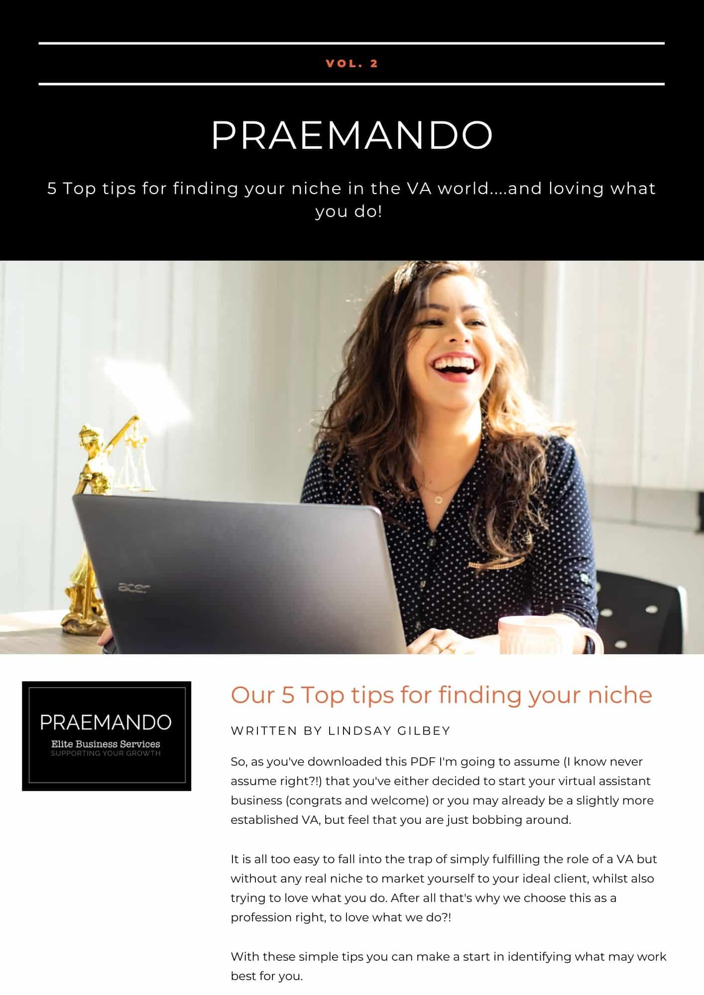 5 Top tips for finding your niche in the VA world and loving what you do Newsletter