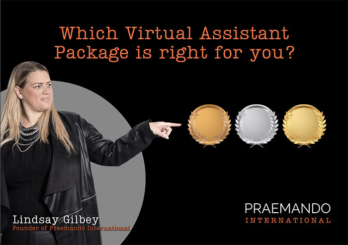 Virtual assistant Packages